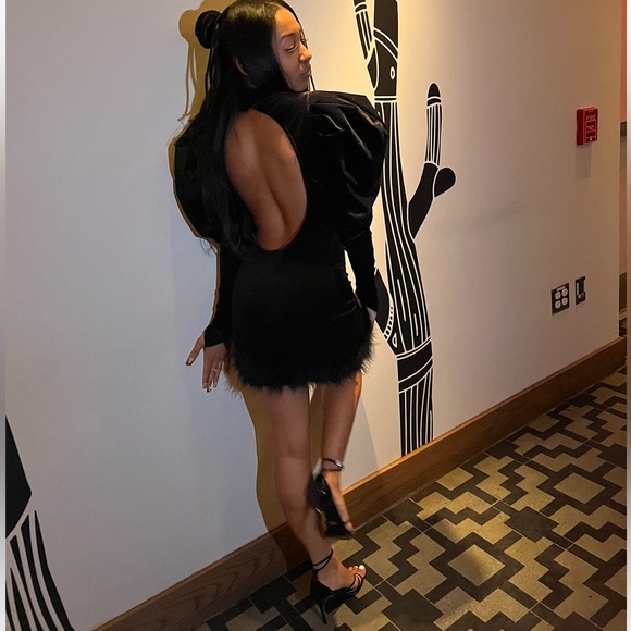 PLT Velvet Puff Sleeve Dress! - Picture 3 of 3